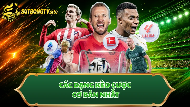 Các dạng kèo cược cơ bản nhất