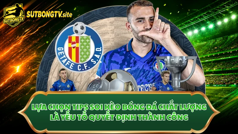 Lựa chọn tips soi kèo bóng đá chất lượng là yếu tố quyết định thành công