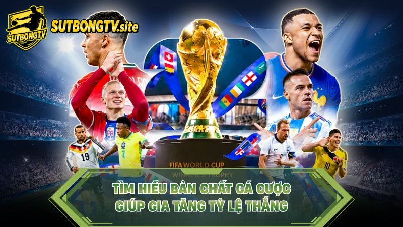 Tìm hiểu bản chất cá cược giúp gia tăng tỷ lệ thắng.