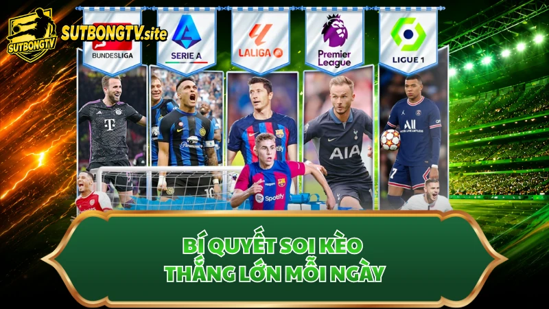 Bí quyết soi kèo thắng lớn mỗi ngày