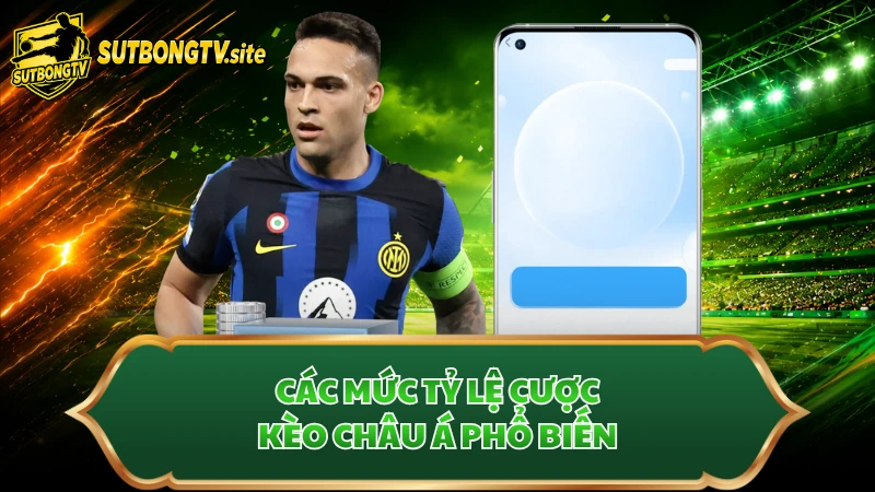 Các mức tỷ lệ cược kèo châu Á phổ biến