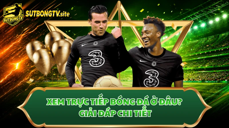 Xem trực tiếp bóng đá ở đâu? Giải đáp chi tiết